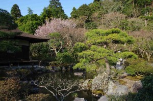 Bassin du Pavillon d'Argent