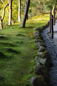 Jardin Japonais du Pavillon d'Argent #2