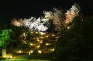 2010_04_05_12_31_48_1