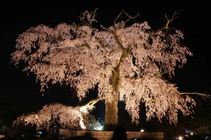 2010_04_05_14_01_58_1